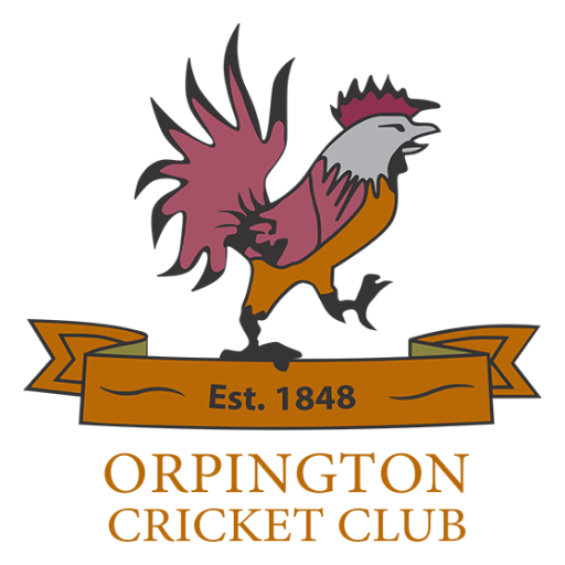 Orpington CC Teamwear