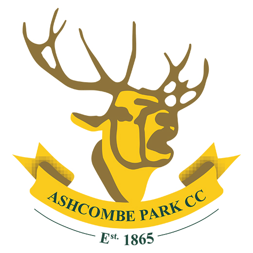 Ashcombe Park CC Teamwear
