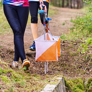 Orienteering