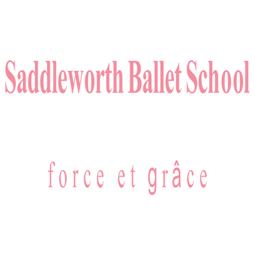 Saddleworth Ballet Teamwear