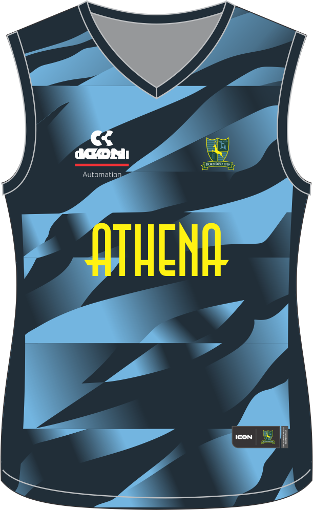 NEWTOWN LINFORD CRICKET CLUB (ACADEMY T20) ACADEMY SLIPOVER - LADIES