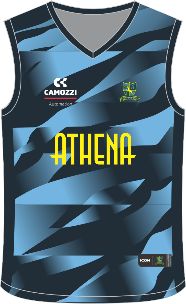 NEWTOWN LINFORD CRICKET CLUB (ACADEMY T20) ACADEMY SLIPOVER - UNISEX